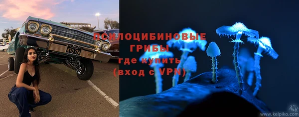 mdpv Беломорск