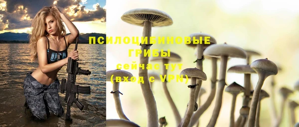 круглые Белокуриха