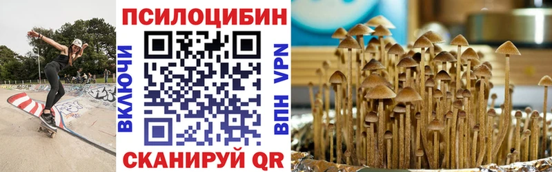 как найти закладки  Красноуральск  Псилоцибиновые грибы MAGIC MUSHROOMS 